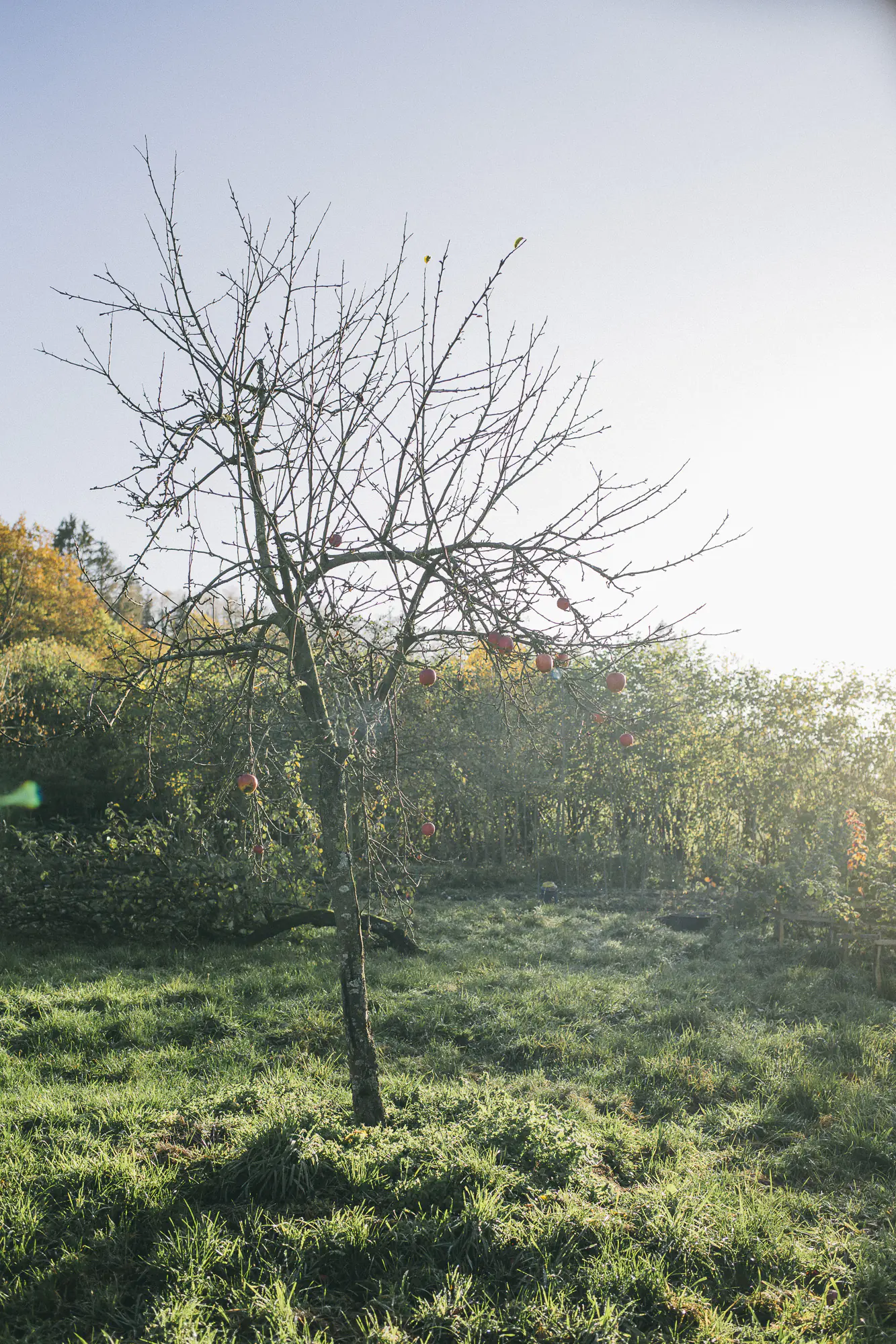 Editorialstrecke für das Mitarbeitermagazin der Metro-Gruppe in der Waldgärtnerei am Odin, Sundern im Sauerland