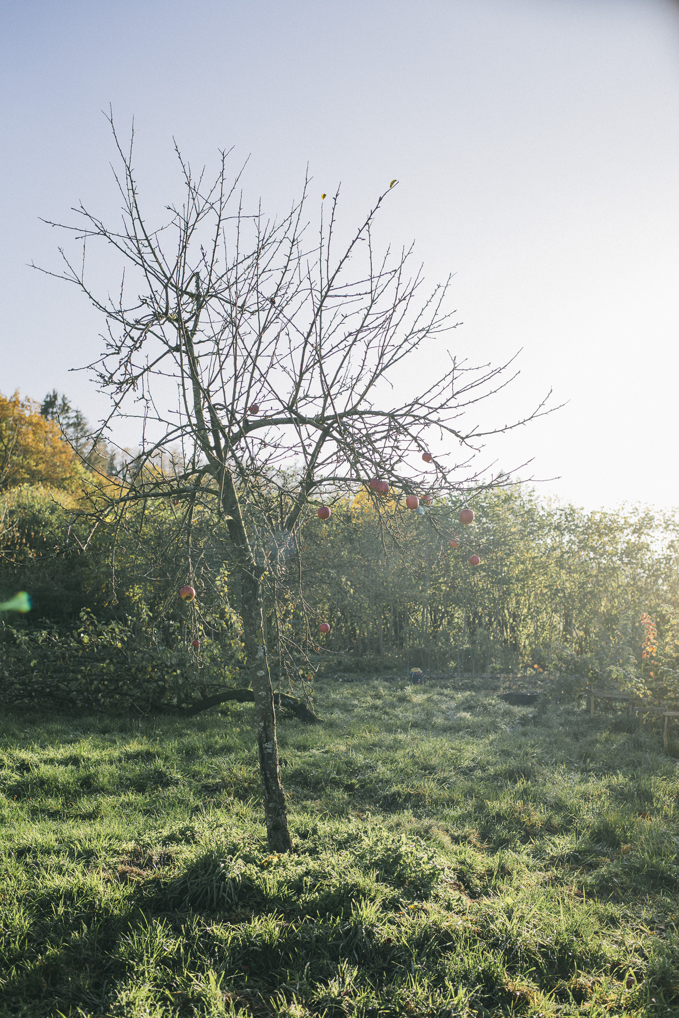 Editorialstrecke für das Mitarbeitermagazin der Metro-Gruppe in der Waldgärtnerei am Odin, Sundern im Sauerland