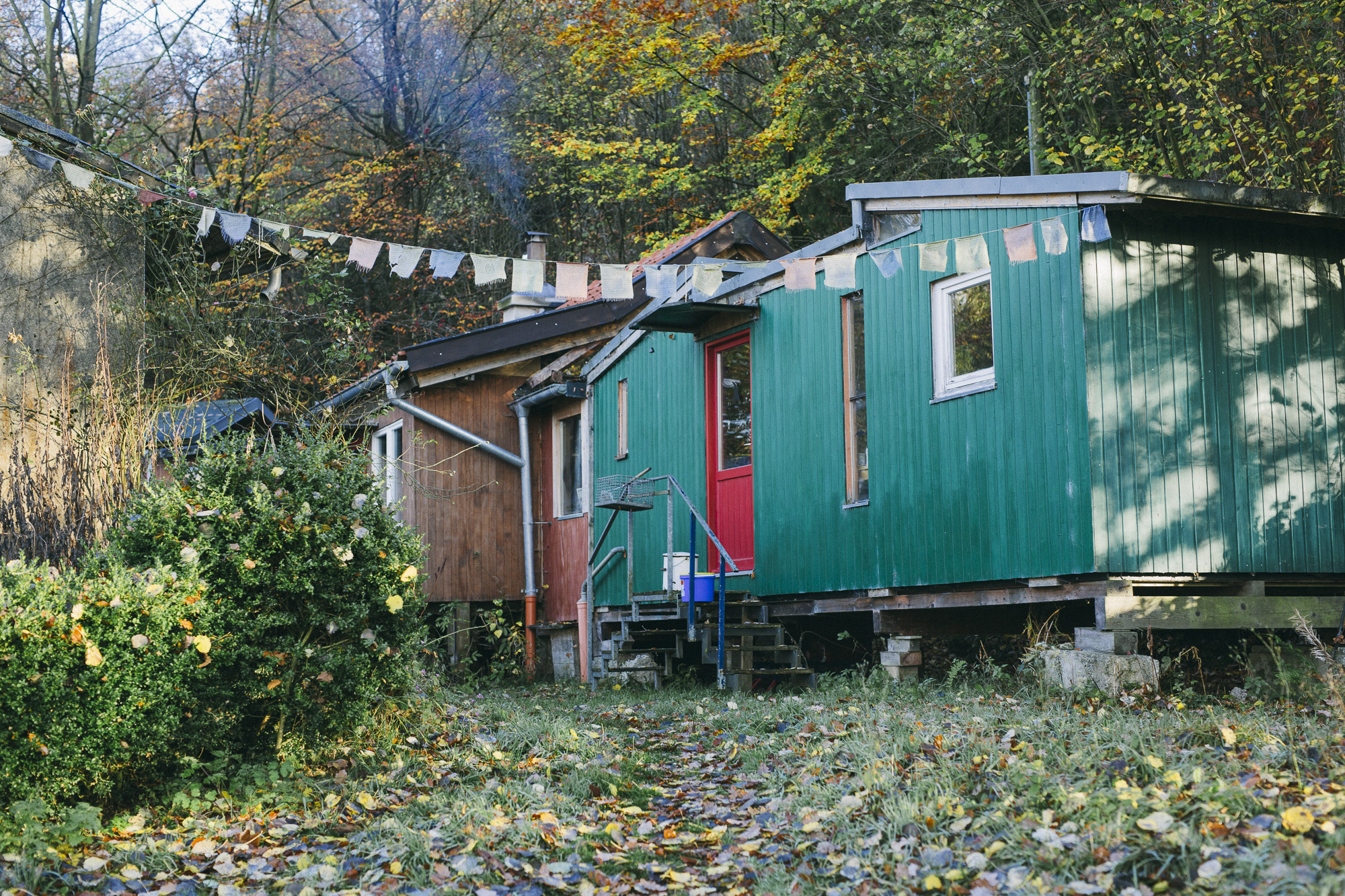 Editorialstrecke für das Mitarbeitermagazin der Metro-Gruppe in der Waldgärtnerei am Odin, Sundern im Sauerland