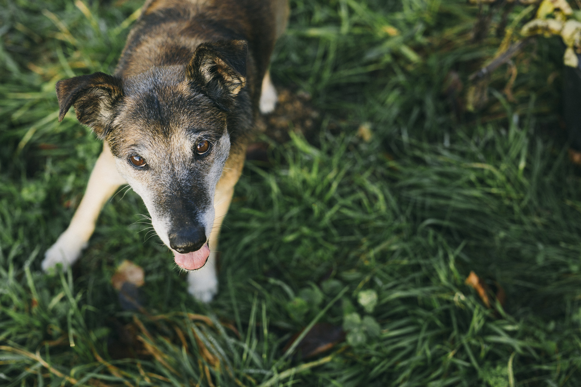 Editorialstrecke für das Mitarbeitermagazin der Metro-Gruppe in der Waldgärtnerei am Odin, Sundern im Sauerland